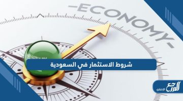 تعرف على شروط الاستثمار في السعودية لكافة الأنشطة 2024