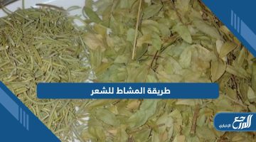 تعرف على طريقة المشاط للشعر؛ فوائد مذهلة بخطوات بسيطة