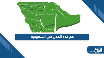 كم عدد المدن في السعودية وترتيبها من حيث المساحة