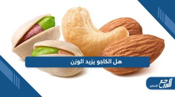 هل الكاجو يزيد الوزن؛ تعرف على فوائده وأضراره
