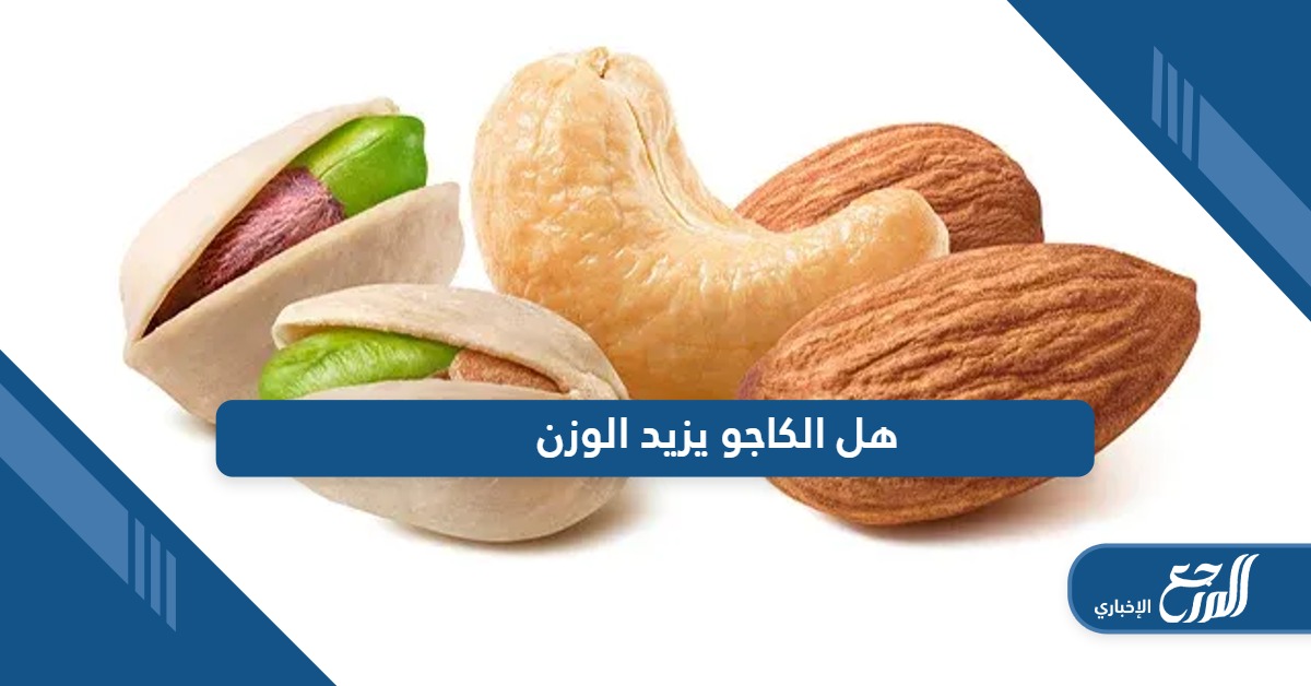 هل الكاجو يزيد الوزن؛ تعرف على فوائده وأضراره