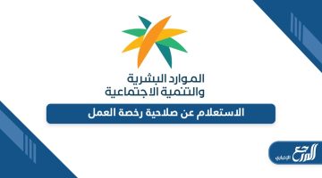 تعرف على خطوات الاستعلام عن صلاحية رخصة العمل في السعودية
