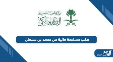 أفضل طريقة لطلب مساعدة مالية من ولي العهد محمد بن سلمان